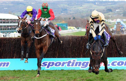 Boston Bob falls as Lyreen Legend and Lord Windermere (left, winner) come with their runs