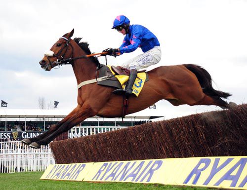 CUE CARD one of King Theatre's most prolific Cheltenham winners