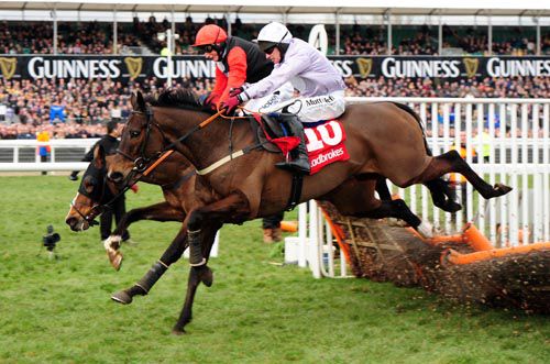 Solwhit clears the last in the World Hurdle alongside Celestial Halo