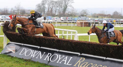 Treacle beats Ninetieth Minute at Down Royal