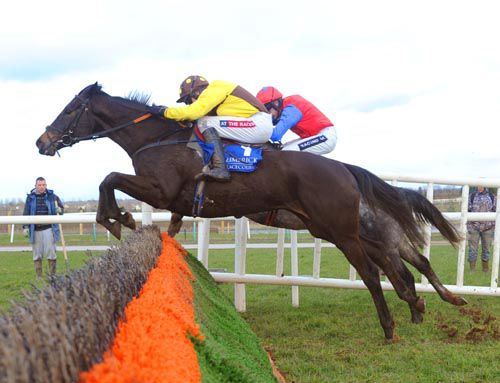 Missunited jumps the last just ahead of Twigline 