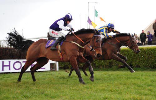 Blazing Beacon (nearest) & Beneficial Spirit race away from the last