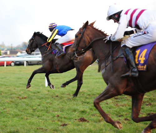 Young Ambition strides to victory from Robina Mae in second