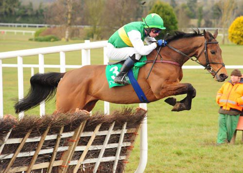 Mount Colah and Noel McParlan jump the last 
