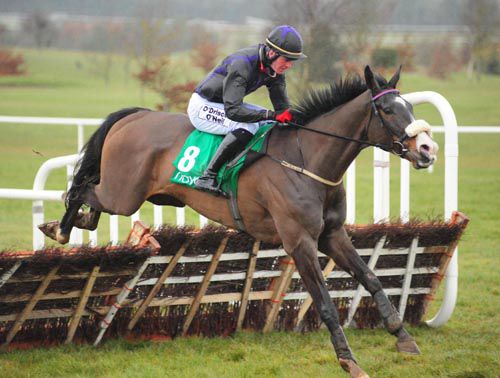 Some Tikket and Robbie McNamara jump the last 