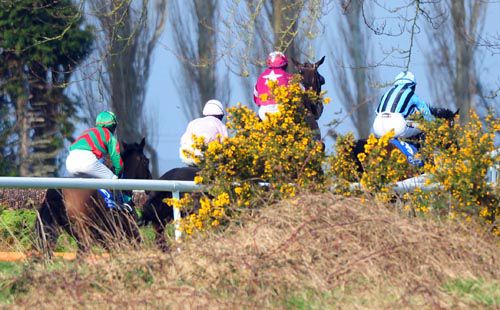 Immediate Response (right) & Crash rise for a fence at the top of the track