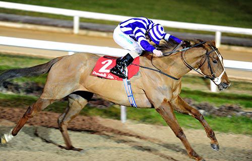 Solo Performer is driven out by Chris Hayes