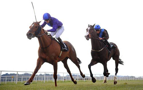 Bold Thady Quill, left