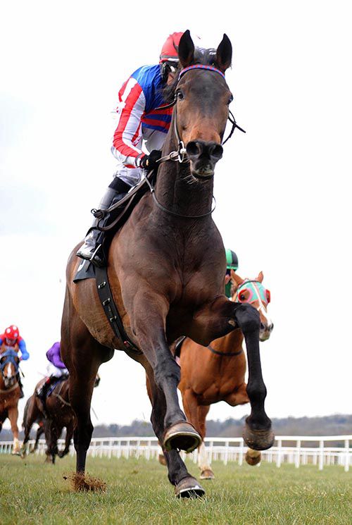 Rich Coast enjoyed his day at the races in Cork