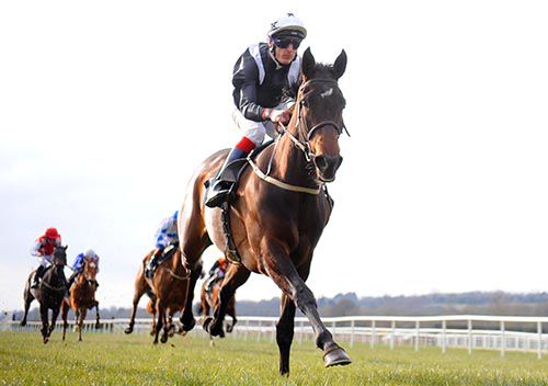 Alive Alive Oh and Fran Berry had an easy success at Cork