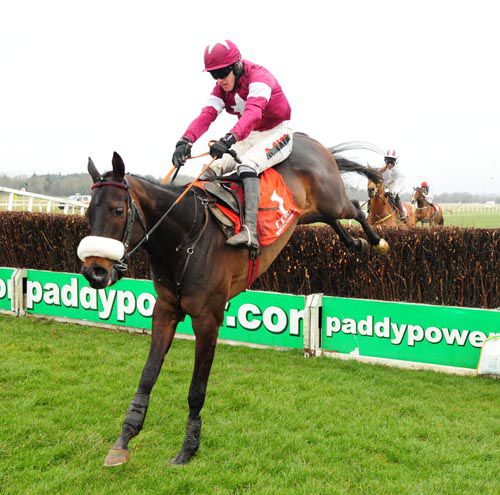 Roi Du Mee is clear over the last at Cork