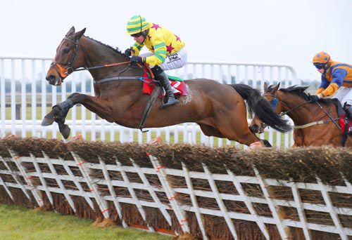 Brian Who puts in a good jump at the last at Fairyhouse