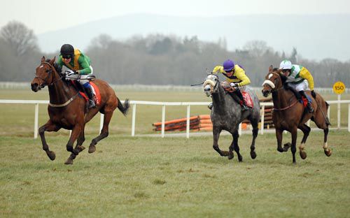 Moonlight Boy pulls away at Cork