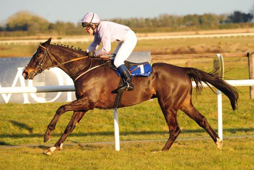 Clondaw Warrior