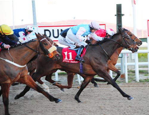 Strait Of Zanzibar (number 11) prevails in a thriller