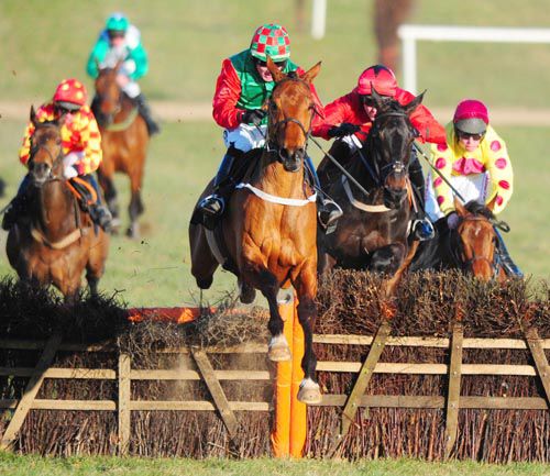 Hunting Party jumps the last ahead of Chief Admiral (red) and Jolly Mac Vic (far right)