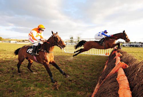 Scouting Party jumps the last under Keith Donoghue from Court Knee (nearest) in second