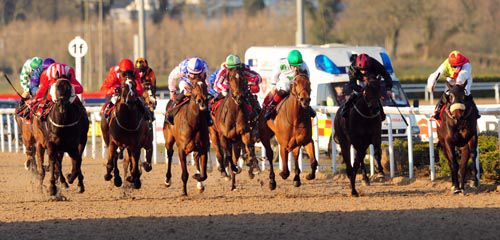 Muizenberg Nights (second from right)