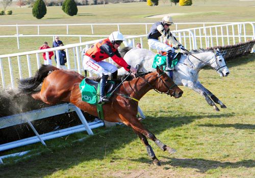Grey horse Rupert Lamb beats Dylan Ross at Navan
