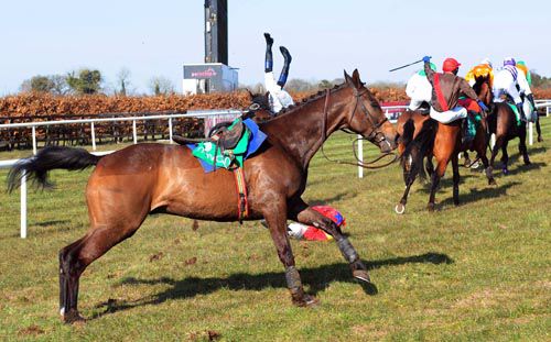 Gareth Malone's legs are visible as he parts company from Alasty. Paddy Mangan tries to stay on Special Token, red cap