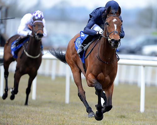 Moth and Joseph O'Brien on their way to victory at the Curragh 