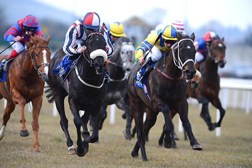 Maude Adams and Gary Halpin, left, dominate at the Curragh