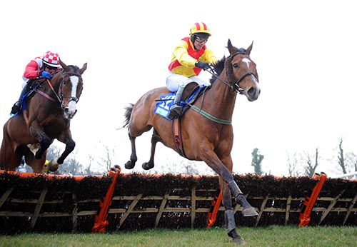 Lastofthepilots and David Casey lead over the last from Gino Trail at Gowran