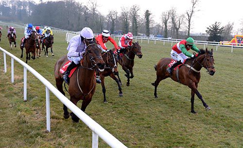 Ebazziyr (right) gets up to beat Afatcat at Gowran