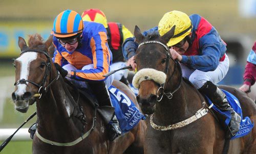 Mizzava (right) and Shane Foley get the better of Hanky Panky