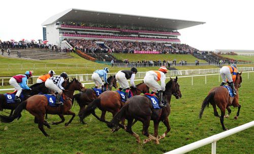 The seven-runner field race pass the packed stand at Limerick