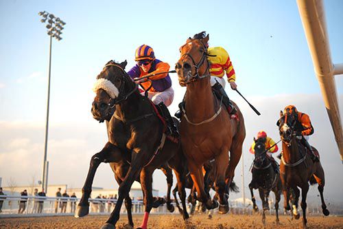 House Limit (nose-band) just outpoints Pivotal Rock at Dundalk