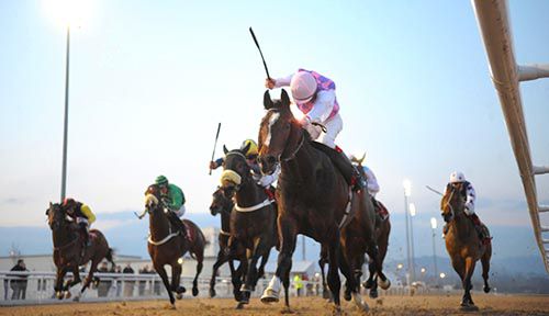 Hot Bed fends them all off under Fran Berry at Dundalk