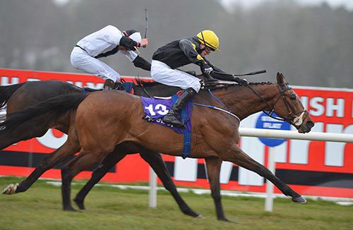 Head Waiter is driven out by Conor King to beat Rawnaq on the inside