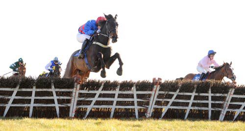 Followmeuptocarlow clears the last at Fairyhouse