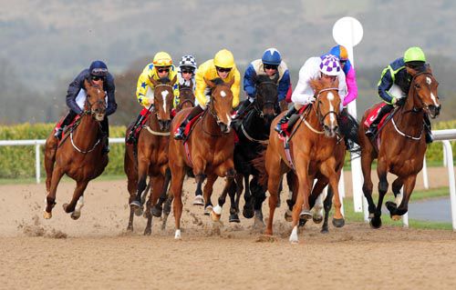 Pearl Of Africa (yellow and blue) comes wide