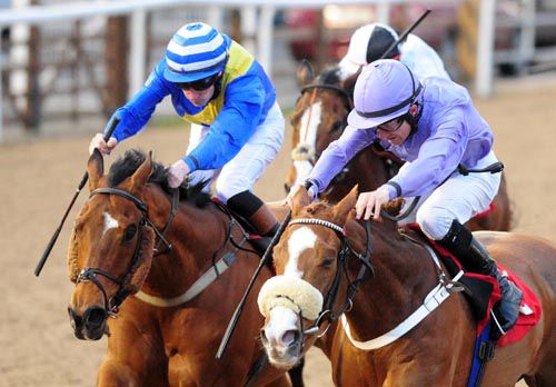 Raydari (left) comes to claim Paddy The Celeb 