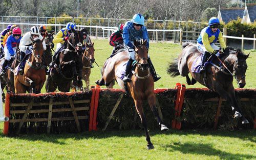 Lady Boulea (centre) leads the way in the opener at Wexford