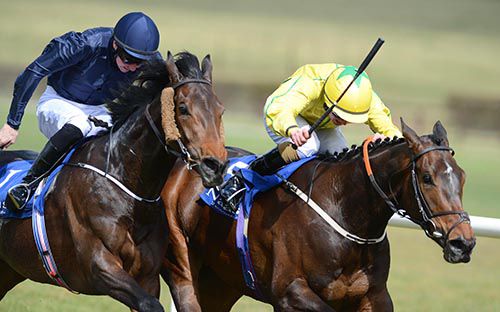 Paul Deegan is hoping for a good showing from Talitha Kum (yellow) in the feature