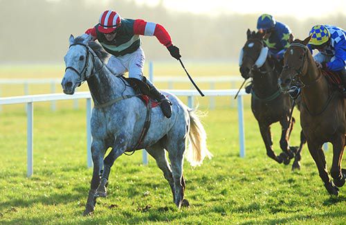Silver Friend is driven out by Brian O'Connell from Way Up In The Air in second