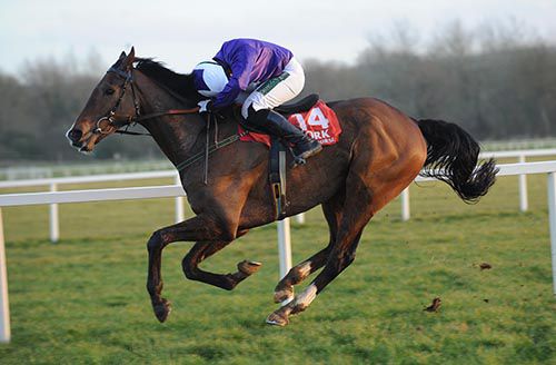 Barry O'Neill looks under his arm for dangers as Young Finnegan comes home an easy winner of the bumper