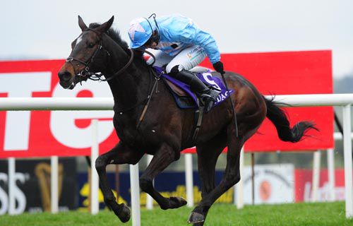 The Liquidator is driven out by Jane Mangan to win the Grade 1 bumper at the Punchestown Festival in April