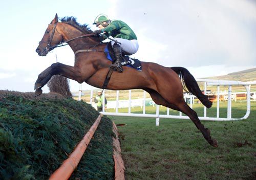 Salsify and Colman Sweeney were stylish winners at Punchestown
