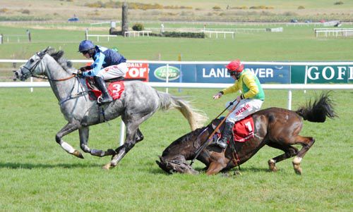 Grey Gold leads as Aupcharlie falls at the last