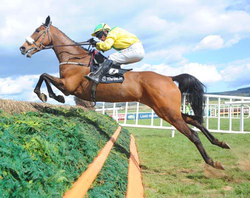 Carrig Millie and Katie Walsh