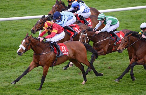 Benalex Park scores for Connor King