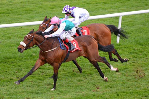 Caponata is driven out by Pat Smullen to beat We'll Go Walking