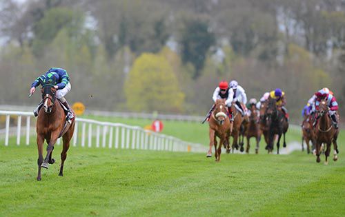 An Saincheann is well clear of her rivals in the fillies maiden 