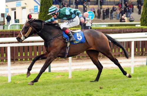 Job done - Allegra Tak under Pat Smullen at Tipperary