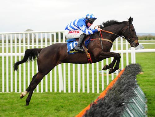 A lovely leap from Treacy Hotels Boy under Andrew Lynch at Tipperary