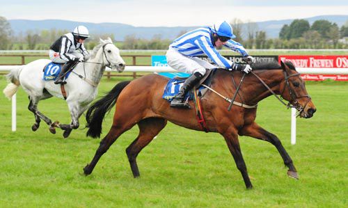 Marshim beats Hidden Diamond at Tipperary